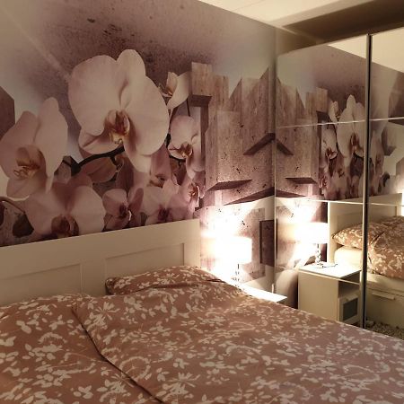 Apartman 33 Free Private Garage Novi Sad Eksteriør billede